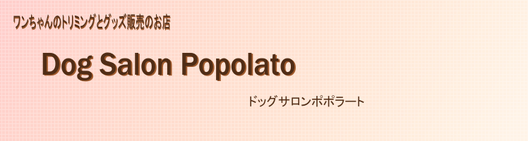 Dog Salon Popolato  ドッグサロンポポラート